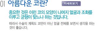 아름다운 코란? 중요한 것은 이런 코의 모양이 나머지 얼굴과 조화를 이루고 균형이 맞느냐 하는 것입니다. 따라서 수술의 계획도 코만이 아닌 얼굴 전체를 보면서 생각을 하는 것이 좋습니다.