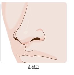 화살코