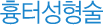 흉터성형술
